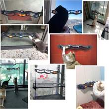 Cat Toy: Self-Playing Wave Track With Suction Cup (PP Material + 2 Small Balls) - Grey - View 5