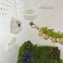 4PCS Jumping Spider White Cloud Hiding Decor Set (Includes White Cloud Platform, Feeding Dish) Jumping Spider Climbing Feeding Platform, Reptile Enclosure Decoration, Small Reptile Hiding Spot, Jumping Spider Shell Accessories, Used For Climbing, Feeding Platform And Shelf Decoration - View 4