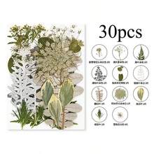 Mixed Floral Craft Decorations, Botanical Embellishments For Resin DIY, Jewelry Making, Scrapbook, Bookmark, Phone Case & Creative Projects - Multicolor - View 8