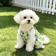 1pc Summer Thin Green Floral Mesh Pet Camisole Dress, Soft Breathable Anti-Shedding, Suitable For Yorkshire Terrier, Chihuahua And Small Dogs Daily Wear - Green - View 5