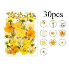 Mixed Floral Craft Decorations, Botanical Embellishments For Resin DIY, Jewelry Making, Scrapbook, Bookmark, Phone Case & Creative Projects - Multicolor - View 13