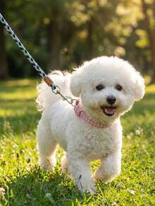 雙色三股編織狗牽繩，寵物用品狗配件 Happy Puppy，適合小型犬在出遊與玩耍時佩戴 - 彩色 - 查看 2