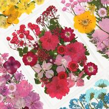 Mixed Floral Craft Decorations, Botanical Embellishments For Resin DIY, Jewelry Making, Scrapbook, Bookmark, Phone Case & Creative Projects - Multicolor - View 4