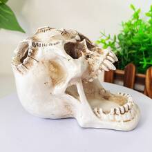 1pc Creative Horrible Wide-Mouth Skull Pen Holder Storage Rack, Desktop Organizer Decor For Home & Office, Unique Halloween Gift Ornament Room Decor Home Decor Halloween Decor - Multiple Styles - View 6