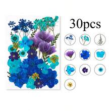 Mixed Floral Craft Decorations, Botanical Embellishments For Resin DIY, Jewelry Making, Scrapbook, Bookmark, Phone Case & Creative Projects - Multicolor - View 6