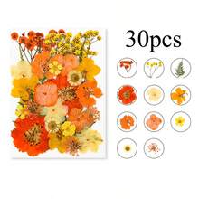 Mixed Floral Craft Decorations, Botanical Embellishments For Resin DIY, Jewelry Making, Scrapbook, Bookmark, Phone Case & Creative Projects - Multicolor - View 9