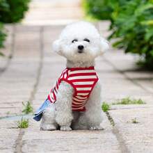 1pc Pet Dress, Breathable Striped Dog Princess Dress For Summer And Autumn, Lace Pocket Double Layer Hem, Pet Clothes For Teddy, Yorkshire Terrier And Small Dogs - Multicolor - View 18