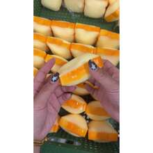 1pc Realistic Food-Colored Toast DIY Stress Relief Squeeze Toy Handmade Ball Squishy Venting Odd-Shaped Ball Skin Handmade Ball - 彩色 - 查看 7