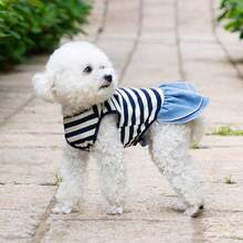 1pc Pet Dress, Breathable Striped Dog Princess Dress For Summer And Autumn, Lace Pocket Double Layer Hem, Pet Clothes For Teddy, Yorkshire Terrier And Small Dogs - Multicolor - View 9