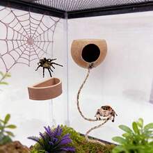 Jumping Spider Hiding Spot And Feeding Dish Set, Insect Habitat Hideout Cave, Spider Enclosure Accessories, Pet Spider Hiding Spot Enclosure Accessories, Suitable For Jumping Spider Accessories And Amphibian Resting And Activity Points, Used For Climbing, Resting And Exploring - View 3