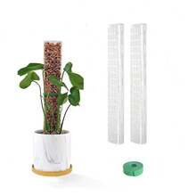 High Plastic Moss Pole Plant Climbing Support Stake For Potted Plants And Ivy, 60CM Climbing Pole (2pcs + 1 Hook And Loop Strap) - C - View 7