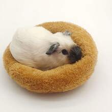 Bird Nest Mat, Pet Bed, All-Season Small Pet Bed For Golden Hamster, Flower Branch Rat, Suitable For Parrot, Budgie, Long-Tailed Parrot, Cockatiel, Conure, Lovebird, Canary, Finch - A - View 15