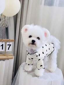 Early Autumn Teddy Pet Ribbed Base Layer Top, Vertical Stripe Knit All-Over Print Black Heart Wave Ruffle Collar And Cuffs, Small Dog Long Sleeve Shirt - White - View 10