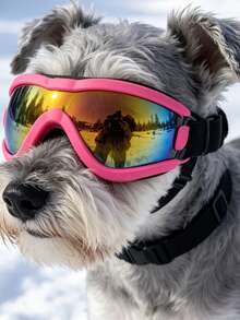 5kg-10kg Dog Fashionable Adjustable Colorful Sunglasses, High Quality Multi-Color Options, Windproof Protective Goggles, Suitable For Outdoor Activities Or Photography - Black - View 20