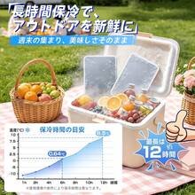 ステンレス製強力保冷剤 急速冷却・長時間保冷持続 小型軽量 冷蔵冷凍両対応 繰り返し再利用 OK お弁当・釣り・キャンプ・BBQ・クーラーボックス・熱中症対策アイスパック - M - チェックする 2