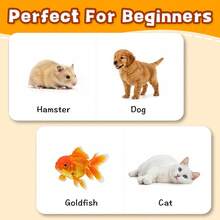 My First Learning Library Children's Reading Game Book, First Words Picture Board Book Set, Covering ABC, Animals, Flowers, Household Items And Transportation Learning - My First Learning Library - View 8