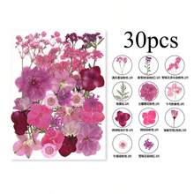 Mixed Floral Craft Decorations, Botanical Embellishments For Resin DIY, Jewelry Making, Scrapbook, Bookmark, Phone Case & Creative Projects - Multicolor - View 11