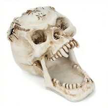 1pc Creative Horrible Wide-Mouth Skull Pen Holder Storage Rack, Desktop Organizer Decor For Home & Office, Unique Halloween Gift Ornament Room Decor Home Decor Halloween Decor - Multiple Styles - View 5
