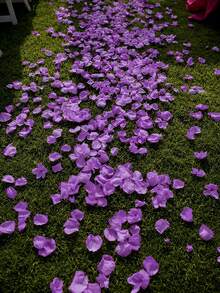 100/300pcs Purple Silk Rose Petals, For Proposal, Valentine's Day Confession, Wedding Love Decoration, Romantic Party Valentine's Day Gift - Purple - View 3