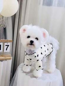 Early Autumn Teddy Pet Ribbed Base Layer Top, Vertical Stripe Knit All-Over Print Black Heart Wave Ruffle Collar And Cuffs, Small Dog Long Sleeve Shirt - White - View 9
