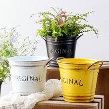 1/2/3pcs American Vintage Letter Double-Ear Metal Flower Pot, Suitable For Succulent Plants, Cosmetic Storage, Desktop Organizer, Living Room/Outdoor Garden Decor, Pen Holder, Flower Bucket - Flowerpot - View 3