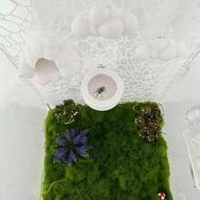 4PCS Jumping Spider White Cloud Hiding Decor Set (Includes White Cloud Platform, Feeding Dish) Jumping Spider Climbing Feeding Platform, Reptile Enclosure Decoration, Small Reptile Hiding Spot, Jumping Spider Shell Accessories, Used For Climbing, Feeding Platform And Shelf Decoration - View 3