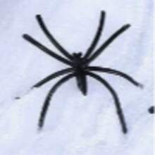 Decoração de Teia de Aranha de Halloween, Aranhas Falsas Grátis, Teia de Aranha Super Elástica, Adequada para Suprimentos de Festa de Halloween Interna e Externa, Aplicável a Paredes, Janelas, Portas e Decorações de Festa, Perfeito para Criar Decoração de Festa de Halloween Assustadora, Adequado para Decoração de Bar de Terror de Halloween e Natal, Escolha Ideal para Celebrações de Halloween e Itens Únicos - Multicolorido - Visão 12