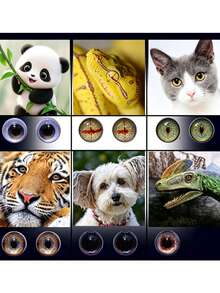 20pcs Round Transparent Flat Bottom Glass Cabochons, Clear Glass Round Patches, Suitable For Embossed Photo Pendants, Handmade Felt Simulated Animal Eyes Glass Beads Jewelry Making, Blank Base Trays, Bracelets, Necklaces, Earrings DIY Jewelry Making Accessories Perfect For Creating Unique Collectibles - Glass - View 3