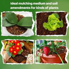 Karbon Aktif untuk Berkebun dan Menanam, Cocok untuk Tanaman Pot dan Pupuk Tambahan untuk Sukulen - A - View 9