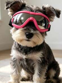 5kg-10kg Dog Fashionable Adjustable Colorful Sunglasses, High Quality Multi-Color Options, Windproof Protective Goggles, Suitable For Outdoor Activities Or Photography - Black - View 17