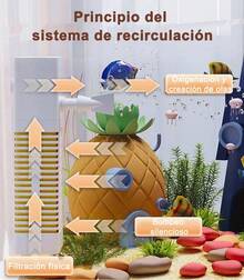 16l Kit Acuario Pecera Tanque 4en1 Peces Con Bomba Luz Led Negro - Albaricoque - Ver 7