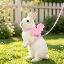 Cute Angel Wings Rabbit Harness And Leash Set, Adjustable Anti-Escape Rabbit Leash, Breathable Outdoor Leash, Suitable For Baby Rabbits, Guinea Pigs, And Other Small Pets - Multicolor - View 2