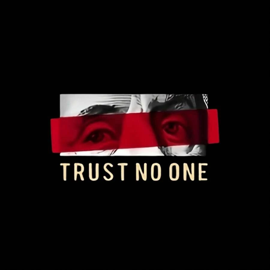 [Envío en 24h desde DE/FR/ES]Pegatinas de transferencia termoadhesivas únicas "Trust No One", para personalizar ropa, camisetas, mascarillas, jeans, mochilas, un toque de estilo para tu apar - A - Ver 1