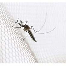 White Bed Canopy Mosquito Net For Double & Single Beds, Hanging Insect Protection Net, Fine Mesh Mosquito And Fly Screen, Polyester Bed Curtain With Ceiling Hook, Lightweight Washable Canopy For Bedroom, Nursery, Camping, Travel And Outdoor Use - White - View 6