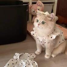 2pcs New Polka Dot Cute Princess Style Dress, Thin Breathable Sun Protection Outfit For Small Puppies And Kittens, Suitable For Golden Shaded Ragdoll And Devon Rex Cats - White - View 5