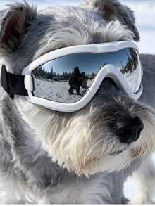 5kg-10kg Dog Fashionable Adjustable Colorful Sunglasses, High Quality Multi-Color Options, Windproof Protective Goggles, Suitable For Outdoor Activities Or Photography - Black - View 18