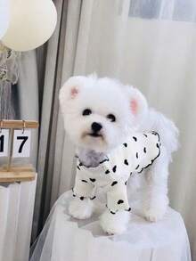 Early Autumn Teddy Pet Ribbed Base Layer Top, Vertical Stripe Knit All-Over Print Black Heart Wave Ruffle Collar And Cuffs, Small Dog Long Sleeve Shirt - White - View 8