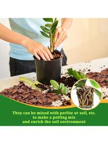 Karbon Aktif untuk Berkebun, Cocok untuk Tanaman Pot dan Pupuk Permukaan Tanaman Sukulen - A - View 9