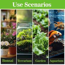 Karbon Aktif untuk Berkebun dan Menanam, Cocok untuk Tanaman Pot dan Pupuk Tambahan untuk Sukulen - A - View 4