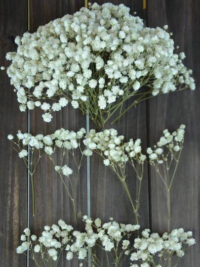 25/50/100/150/300pcs Mini Baby's Breath And Other Artificial Flowers - For Arts And Crafts, Hair Accessories, Wedding Wreaths, Table Flowers, Home Decor, Etc.