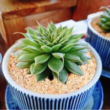 1g Light Blue Quartz Sand, Micro Landscape Blue Sand, Wedding Decoration Blue Fine Sand, Sand For Extinguishing Smoke - Sand - View 6