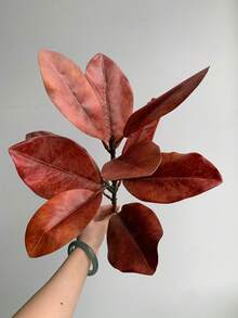 1pc Artificial Magnolia Branch, Home Potted Plant Decor, Hotel Decoration & Display Window Accent, Artificial Greenery, Valentine's Day, Gift - Multicolor - View 13