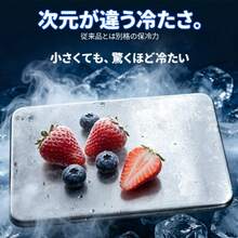 ステンレス製保冷剤 強力保冷力 冷却用品 ペットの暑さ対策・熱中症予防 家庭用・防災用 長時間保冷 繰り返し使用可能 アイスプレート お弁当 キャンプ - 1時 - チェックする 4