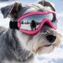 5kg-10kg Dog Fashionable Adjustable Colorful Sunglasses, High Quality Multi-Color Options, Windproof Protective Goggles, Suitable For Outdoor Activities Or Photography - Black - View 10