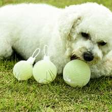 Glow In The Dark Elastic Ball, Pet Dog Chew Ball, Anti-Bite Toy Ball, Large, Medium Training And Entertainment Ball, And Small Dog (This Product Is An Elastic Ball, It Does Not Glow By Itself, It Is Not Easily Damaged, Made Of High Elasticity Rubber Material, Can Glow, Suitable For Teeth Training, Interactive Spherical Chew Toy, Suitable For Small, Medium, Large Dogs). - Multicolor - View 5