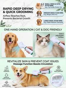 PETSIN 1 件装自动宠物吹风机，二合一便携式宠物吹风机兼梳毛刷，适用于犬猫，干燥顺畅高效，减少掉毛和毛发打结 - 彩色 - 查看 3