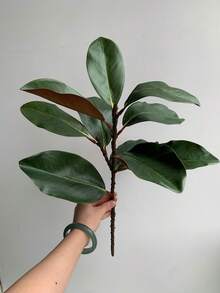 1pc Artificial Magnolia Branch, Home Potted Plant Decor, Hotel Decoration & Display Window Accent, Artificial Greenery, Valentine's Day, Gift - Multicolor - View 12