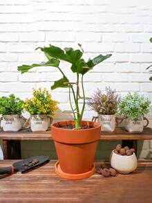 1pc Indoor Plant Support Stake - Flower And Herb Gardening Support Rod - Lattice Frame, Suitable For Stability And Support - Easy To Use Support Structure, Suitable For Potted Climbing Plants - Multicolor - View 3