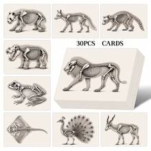 30pcs X-Ray Style Animal Skeleton Art Cards, Vintage Bone Anatomy Printed Cards, Animal Skeletal Structure Learning Cards, Suitable For Home Education, Classroom Activities And Nature Enthusiasts - Multicolor - View 4