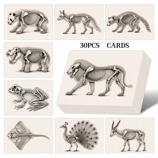 30pcs X-Ray Style Animal Skeleton Art Cards, Vintage Skeleton Anatomy Print Cards, Animal Bone Structure Study Cards, Perfect For Homeschooling, Classroom Activities & Nature Lovers